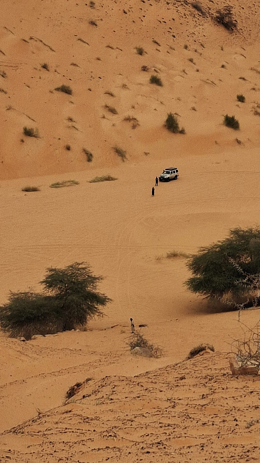 Land Cruiser on a dune in the Sahara, seen from above