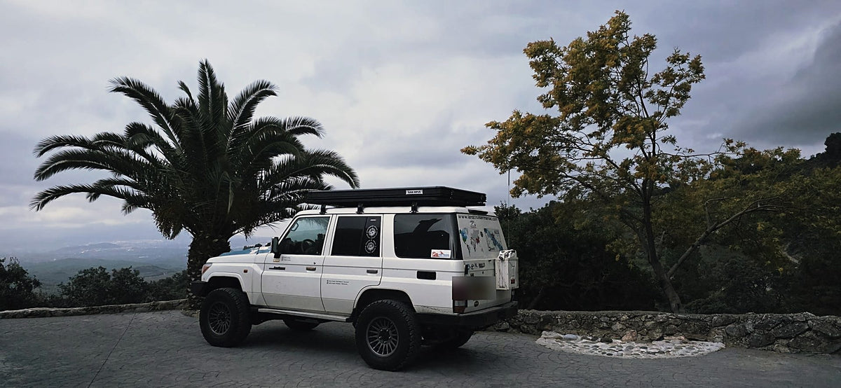 Land Cruiser by palm trees at a viewpoint