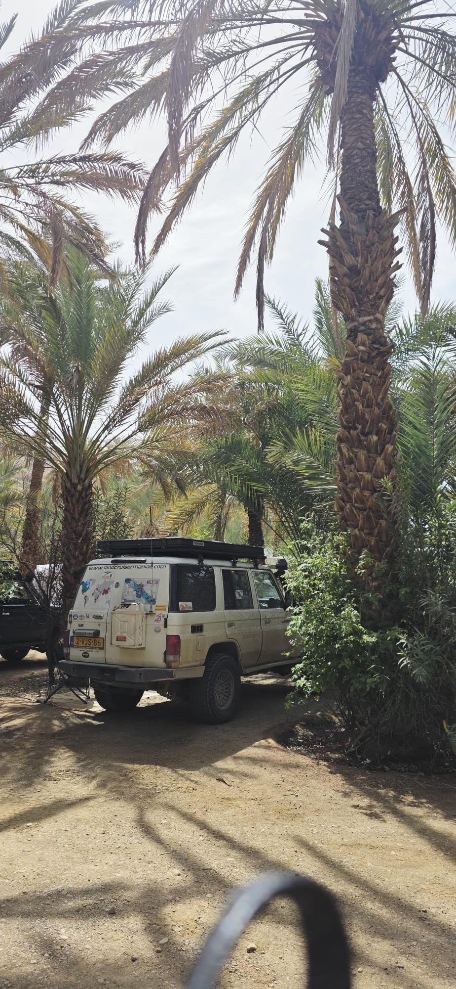 Land Cruiser with LCM rooftop tent in a palm oasis